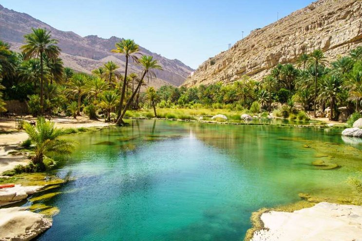 Dive & Culture - Oman
