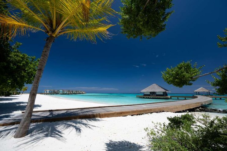 Cora Cora Maldives