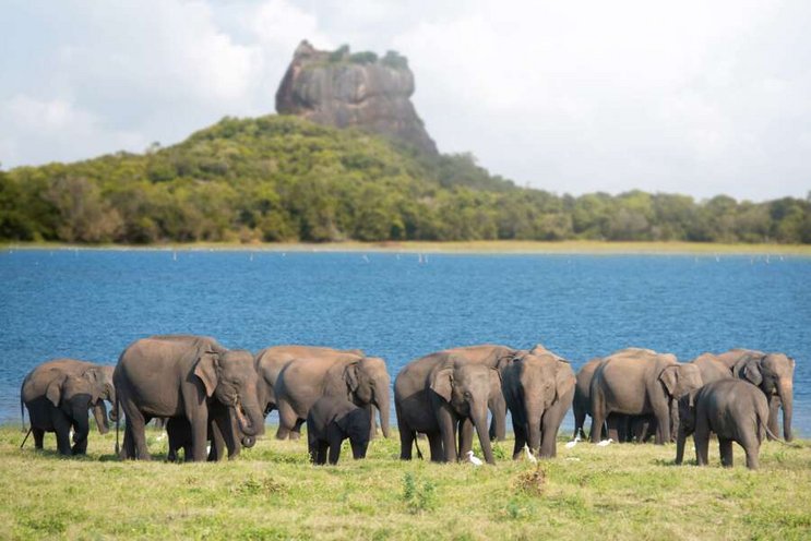 Sri Lanka magique