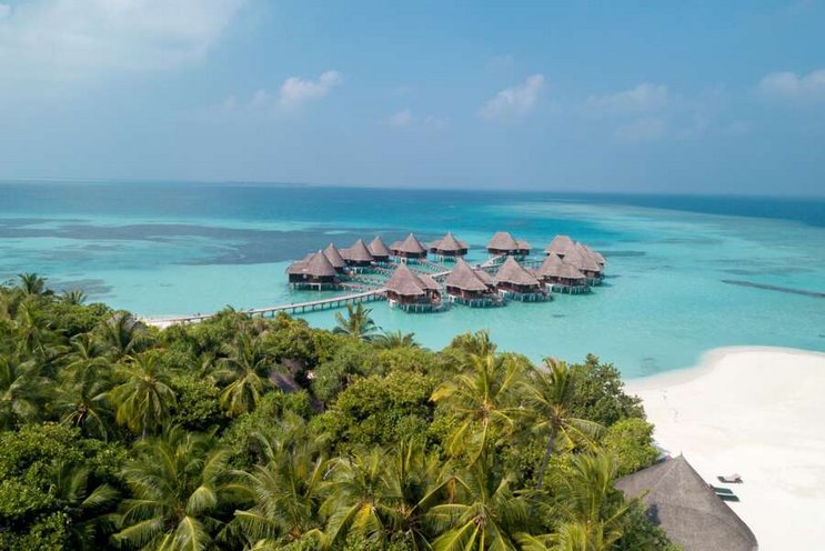 Coco Palm Dhuni Kolhu