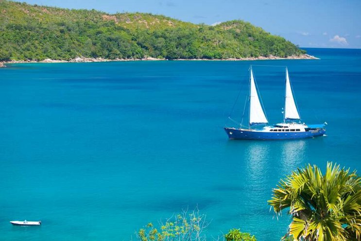 Silhouette Cruises Sea Star – Sea Bird