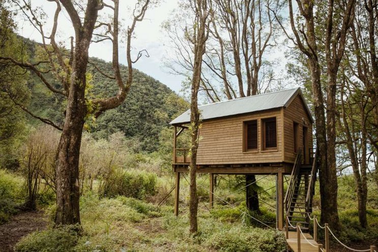 Kanopéa Forest Lodge