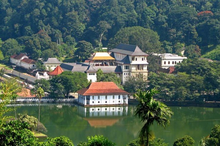 Sri Lanka intensiv