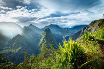 lareunion-teaser.jpg