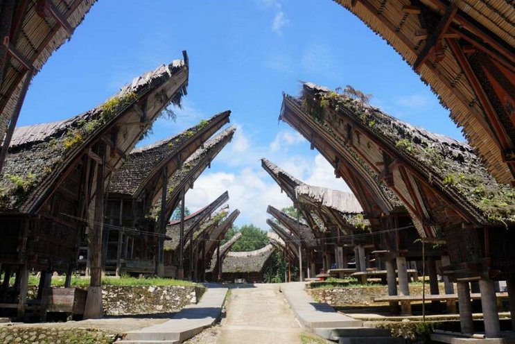 Dive & Culture - Indonésie Toraja