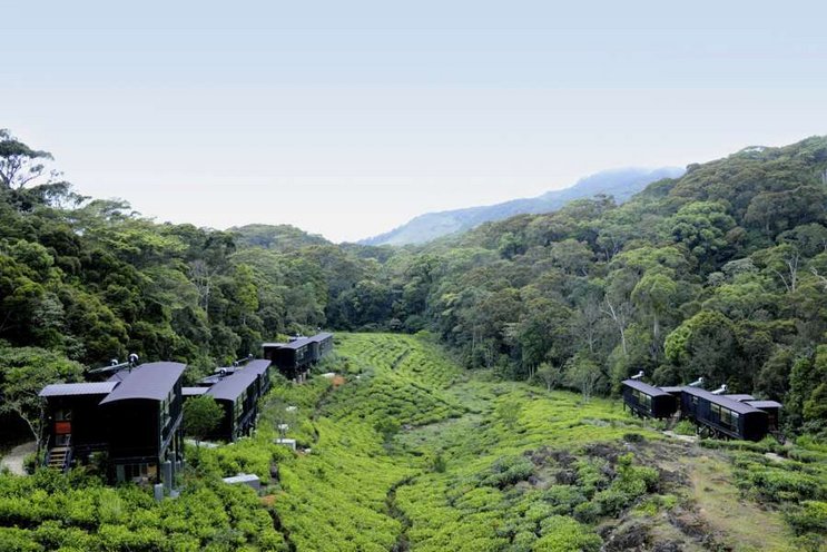 The Rainforest Eco Lodge – Sinharaja